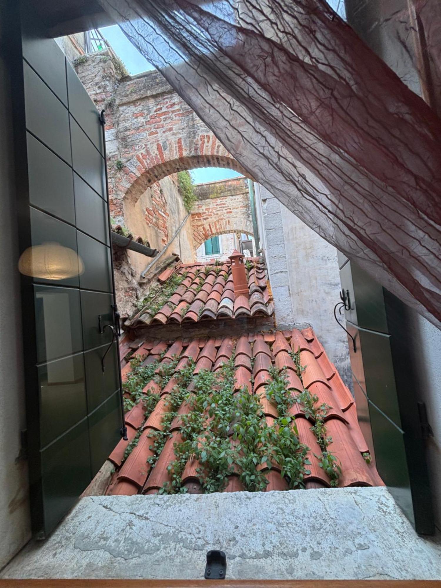 Ali * Venedig